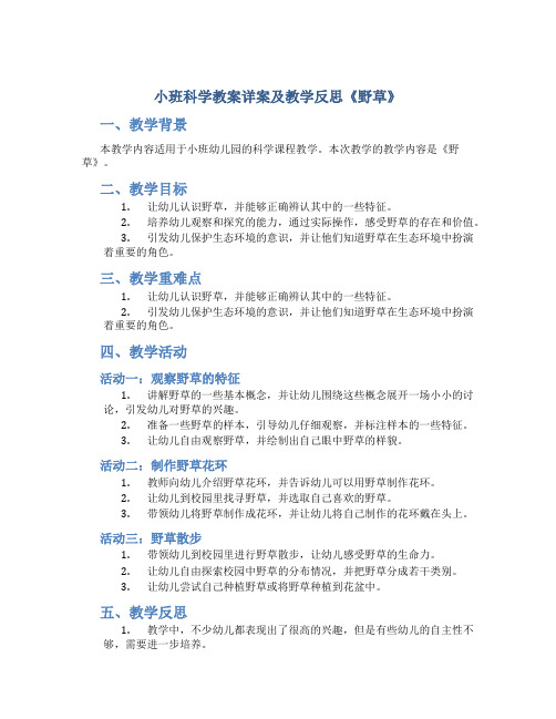 小班科学教案详案及教学反思《野草》