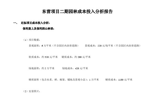 项目投入分析报告