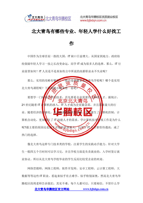 北大青鸟有哪些专业、年轻人学什么好找工作