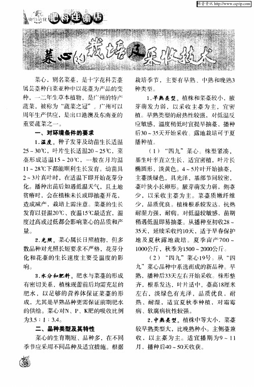 菜心的栽培及采收技术