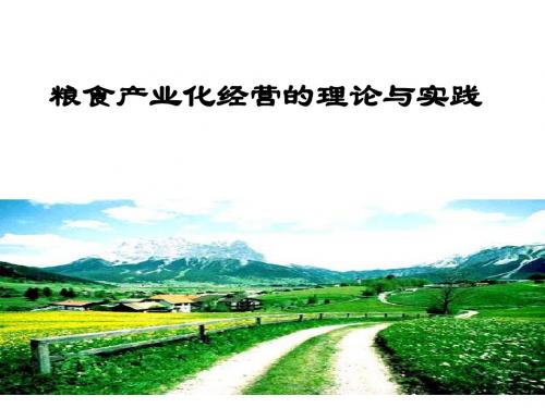 粮食产业化经营的理论与实践PPT课件