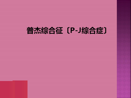 《pj综合症》ppt课件