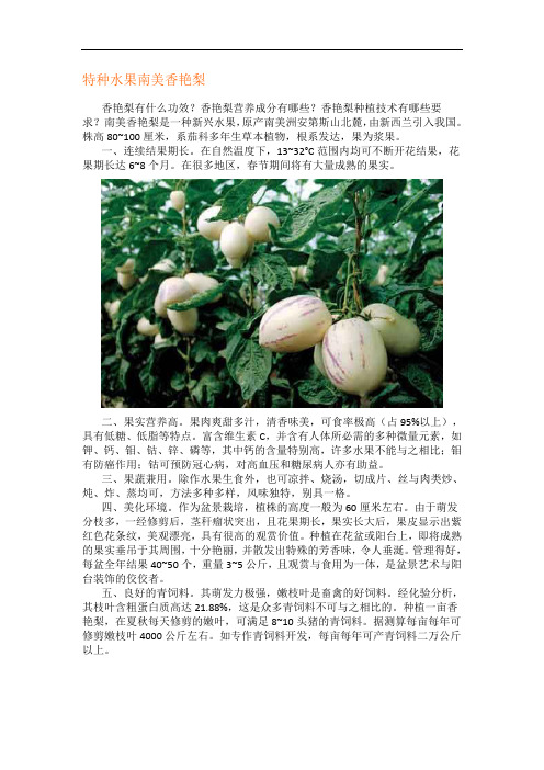 特种水果南美香艳梨