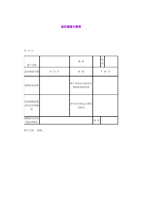 巡回调查日报表(doc格式)