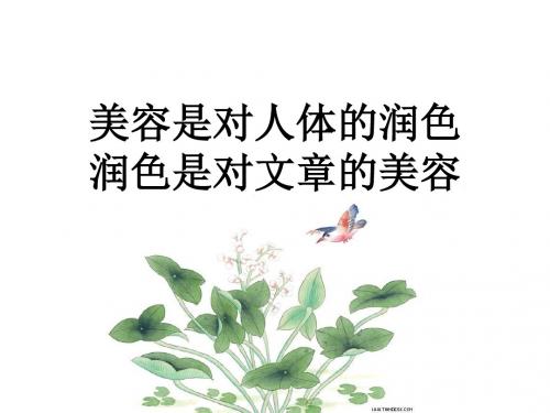 初中作文指导：用细节扮靓文章PPT课件