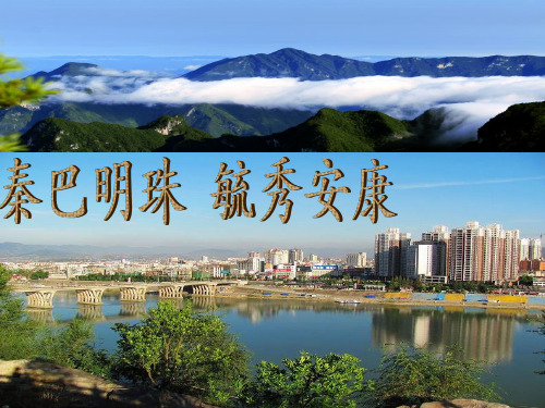 汉滨区文化