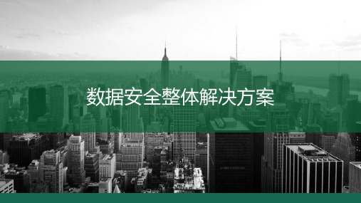 数据安全整体解决方案