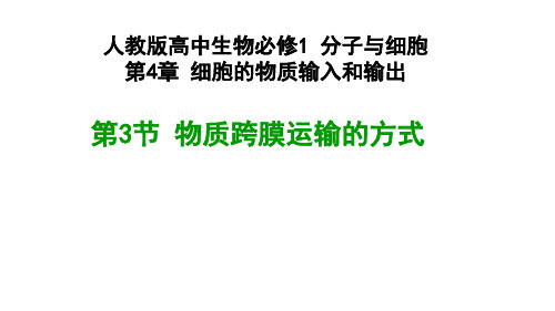 人教版必修一4.3物质跨膜运输的方式   (共24张PPT)