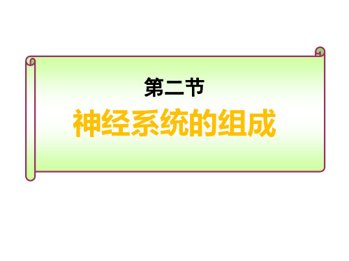 人教版生物七年级下册.2神经系统的组成课件 