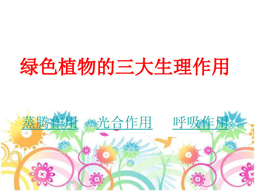 七年级上册生物绿色植物的三大作用专题复习