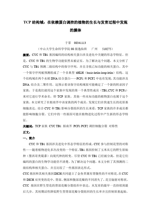 植物生理综述——TCP结构域