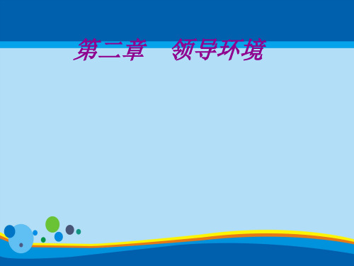领导环境的特点与分类(ppt 20页)