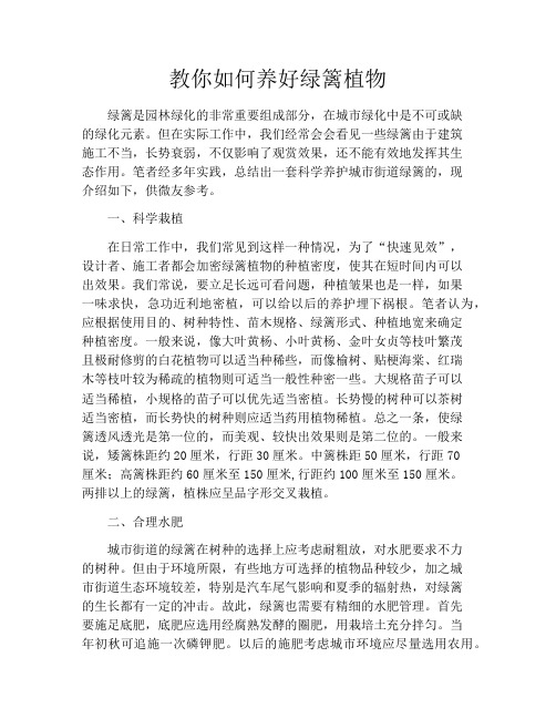教你如何养好绿篱植物