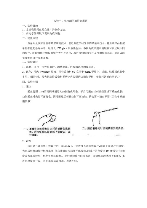 免疫学实验