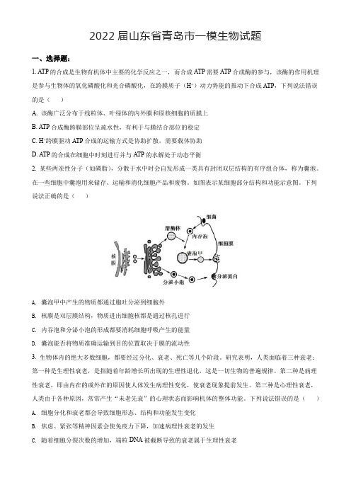 2022届山东省青岛市高三一模生物试题