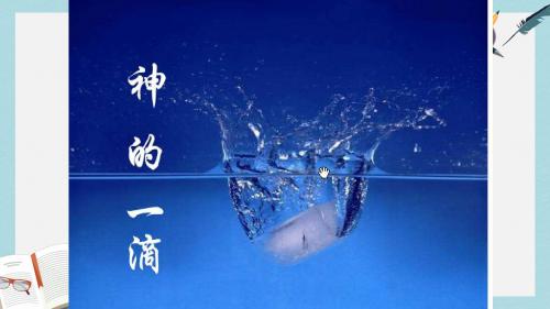 苏教版中职语文(单招)第四册第13课《神的一滴》ppt课件3