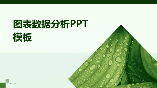 图表数据分析PPT模板(2024)