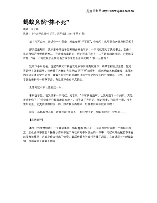 蚂蚁竟然“摔不死”