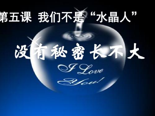 《没有秘密长不大》课件