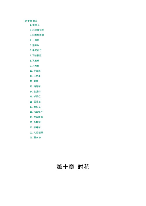 南方常见植物-时花