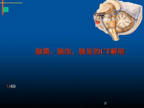 脑膜、脑池、脑室CT解剖医学PPT课件