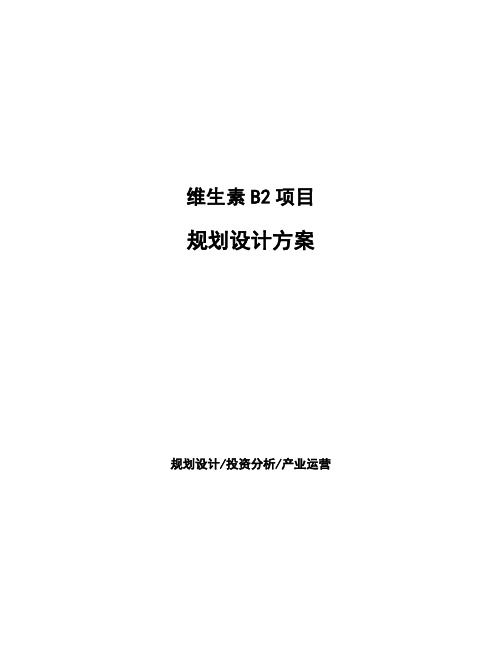 维生素B2项目规划设计方案