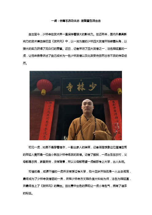 一虎：伤臂不改功夫志  涅盘重生待出击