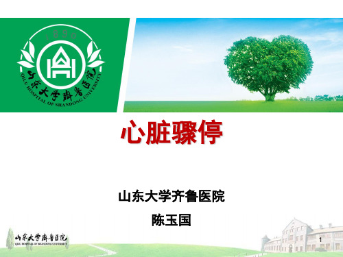 3.1 心脏骤停