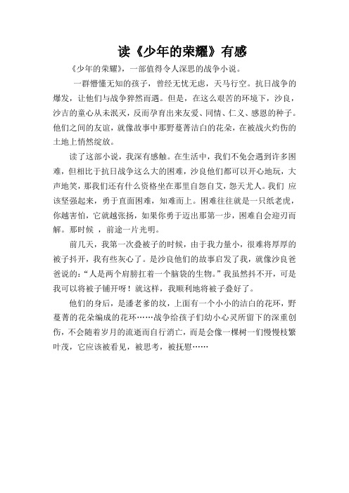 读《少年的荣耀》有感2