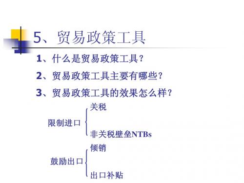 国际贸易原理 05贸易政策工具