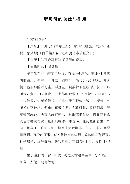 浙贝母的功效与作用