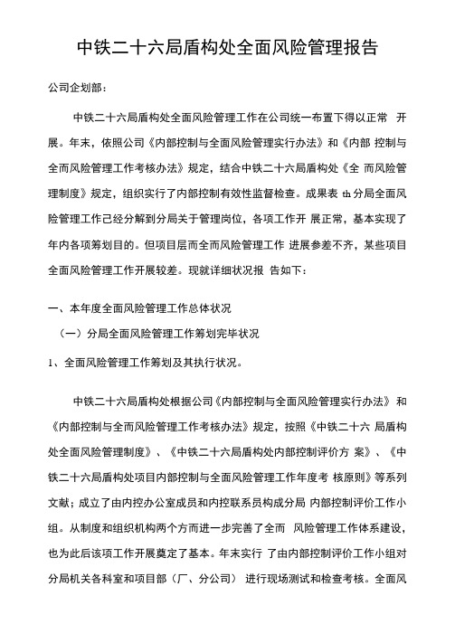 风险管理报告样本