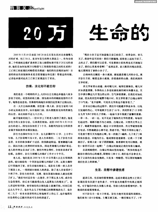 20万：生命的代价