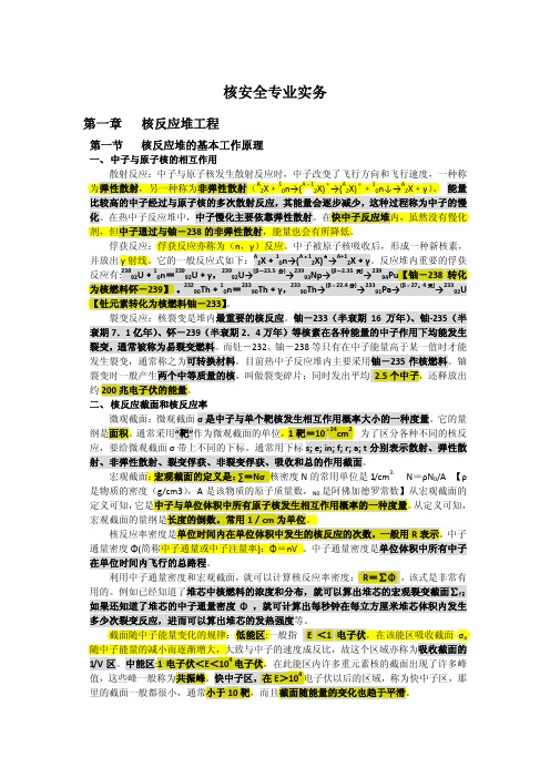 核安全专业实务第一章