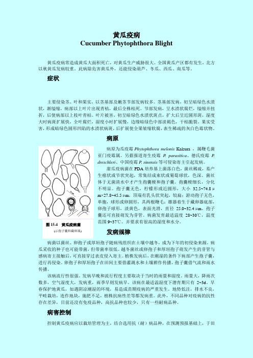 瓜类疫病