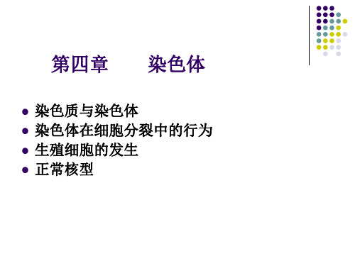 3,染色体