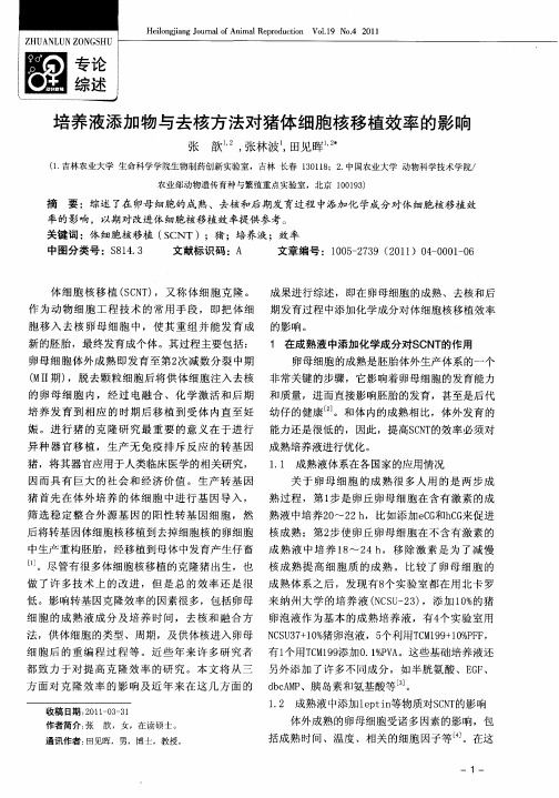 培养液添加物与去核方法对猪体细胞核移植效率的影响