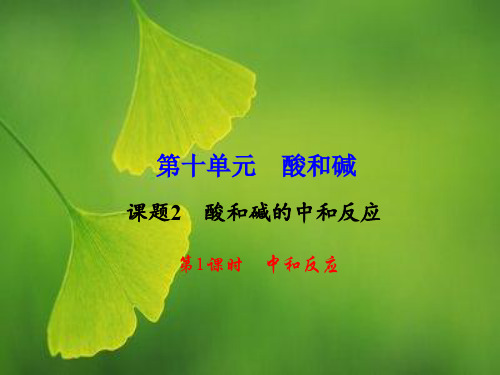 九年级化学下册 第10单元 课题2 第1课时 中和反应课件