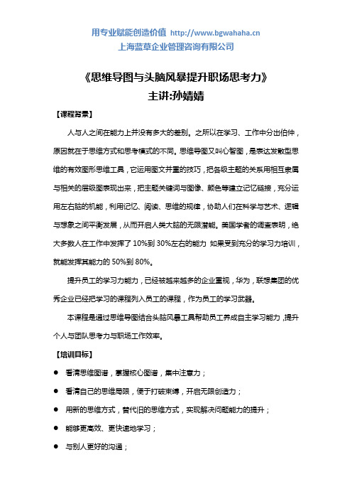 思维导图与头脑风暴提升职场思考力