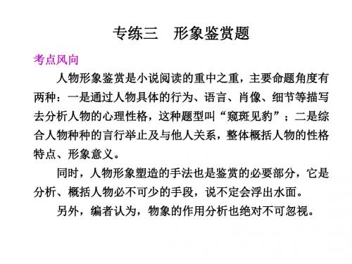 专题二 专练三 形象鉴赏题(孙逸豪推荐).