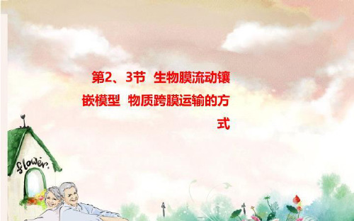 第2、3节  生物膜流动镶嵌模型  物质跨膜运输的方式