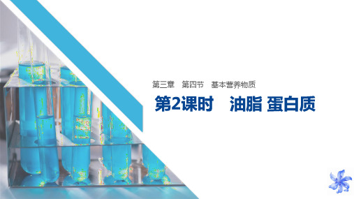 省级优秀课件人教版高中化学必修二课件第2课时油脂蛋白质