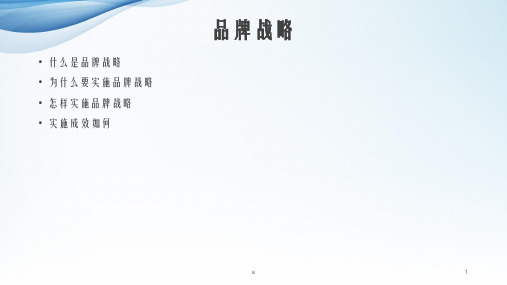 《什么是品牌战略》PPT课件