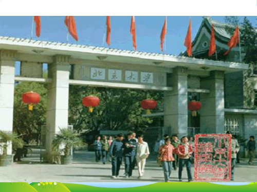 新苏教版七年级语文上册《十三岁的际遇》课件(共16页)