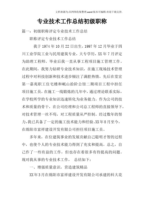 专业技术工作总结初级职称doc
