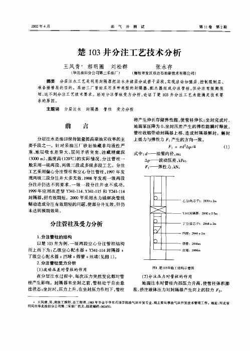 楚103井分注工艺技术分析