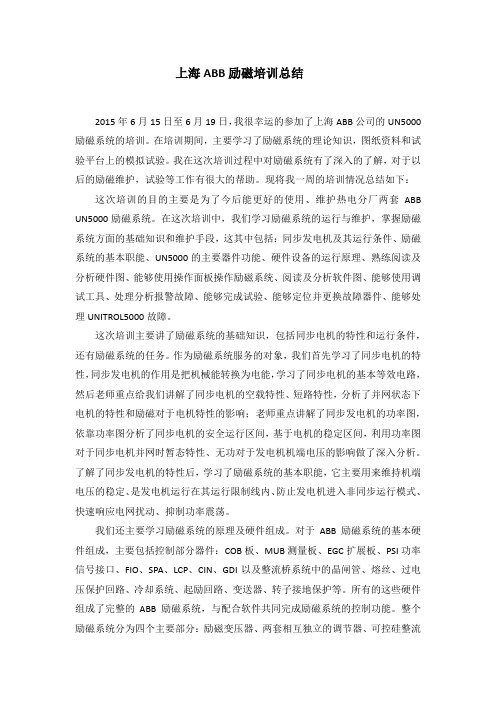 励磁培训总结