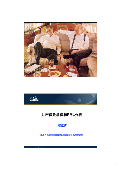 核保原理及PML分析(通用再)