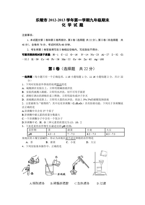 2012-2013学年上半年九年级期末化学试题(前十单元)