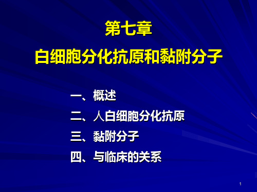 医学免疫学：6 白细胞分化抗原和黏附分子